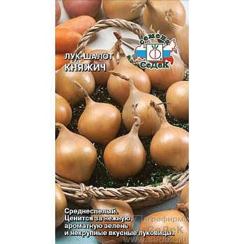 Лук шалот Княжич Седек Ц