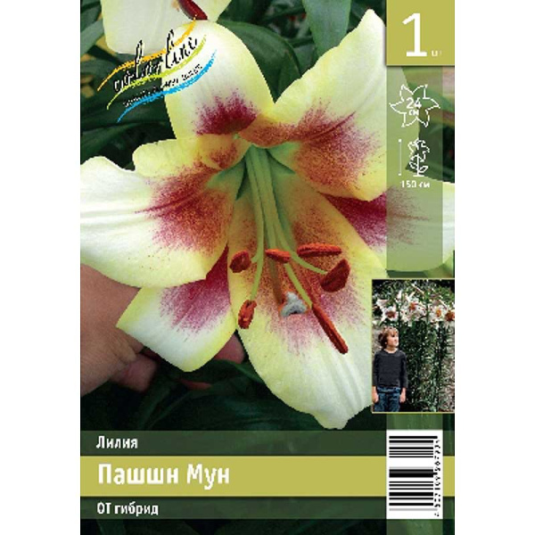 Лилия Пашшн Мун 12/14 1 Эконом шт 