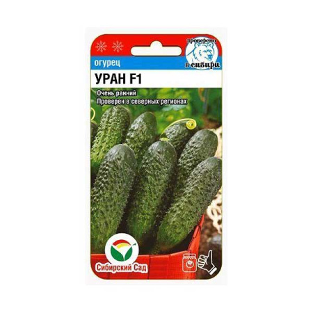 Огурец Уран СибСад Ц
