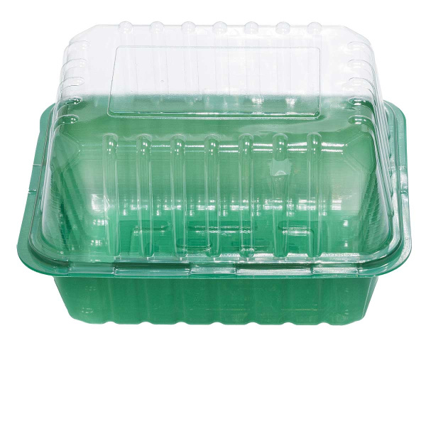 Парник 1 место (21*16*6,5см) х1100 