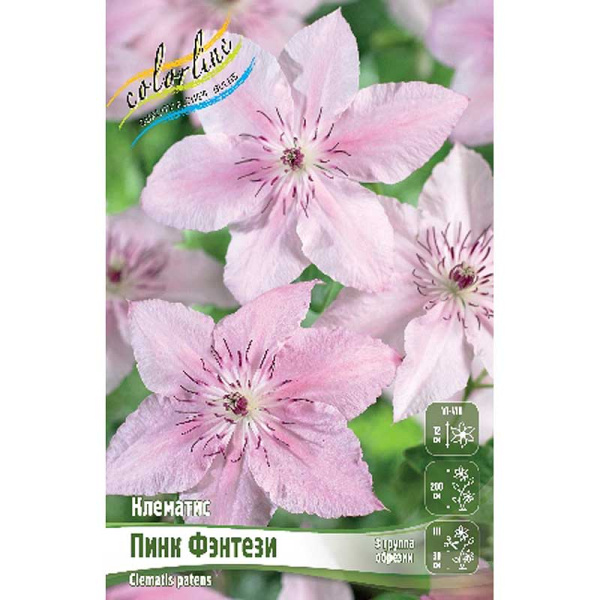 Клематис Пинк Фэнтези I 2 шт