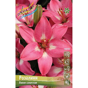 Лилия Розалинн 10/12 7 шт