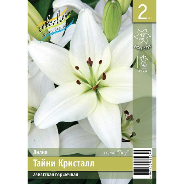 Лилия Тайни Кристалл 10/12 2 Эконом шт
