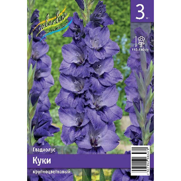Гладиолус Куки 10/12 3 Эконом шт 
