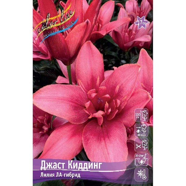 Лилия Джаст Киддинг 12/14 25 шт Биг-пак 10587