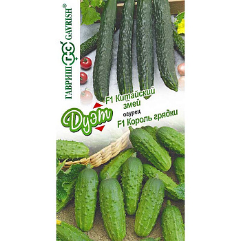 Огурец ДУЭТ Китайский змей+Король грядки Гавриш Ц