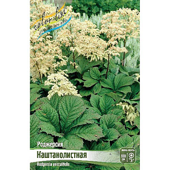 Роджерсия Каштанолистная I 25 шт Биг-Пак 3197 