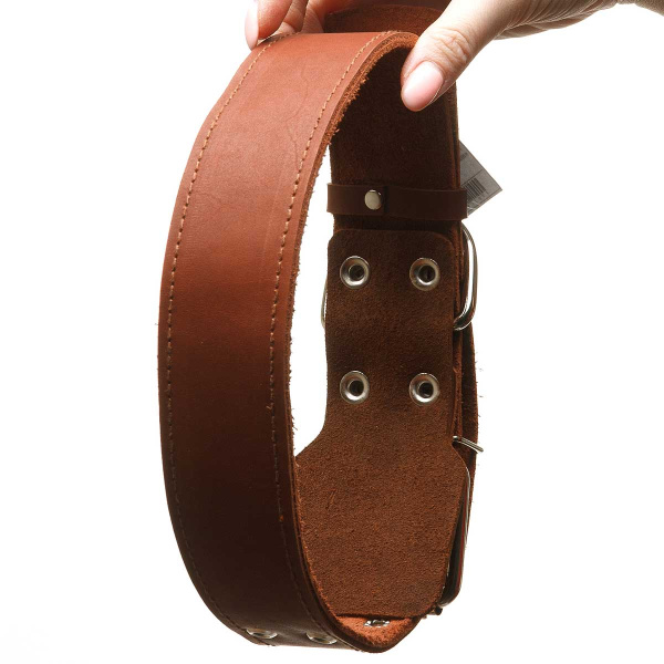 Ошейник кожаный двойной ширина 45 мм длина 75 см