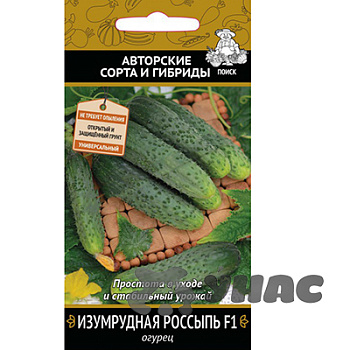 Огурец Изумрудная россыпь Поиск Ц