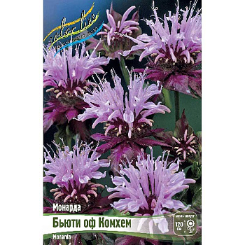 Монарда Бьюти Оф Комхем I 1 шт