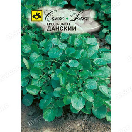 Кресс-салат Данский Семко Ц