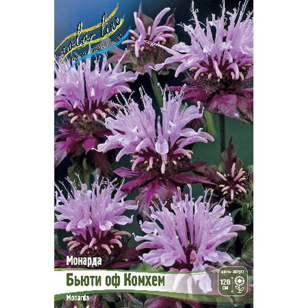 Монарда Бьюти Оф Комхем I 1 шт