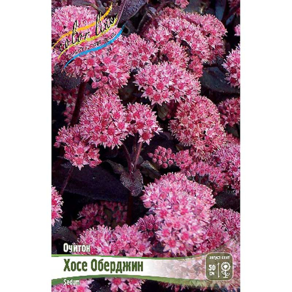 8555 Биг-Пак Очиток Хосе Оберджин I 25 шт