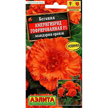 Ком Бегония Америгибрид мандарин оранж Аэлита Ц 