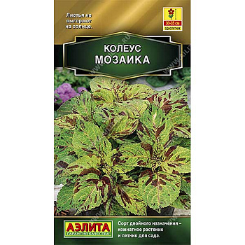 Колеус Мозаика блюме Аэлита Ц 
