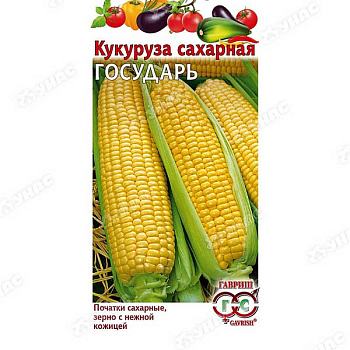 Кукуруза Государь Гавриш Ц