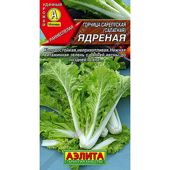 Горчица Ядреная Аэлита Ц