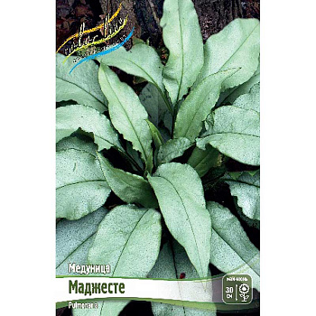 Медуница Маджесте 2/3 n 1 шт