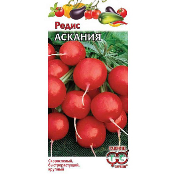 Редис Аскания Гавриш Ц