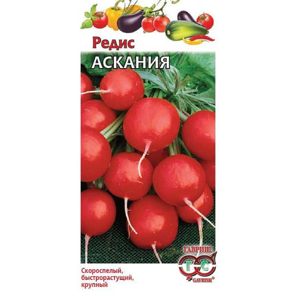 Редис Аскания Гавриш Ц