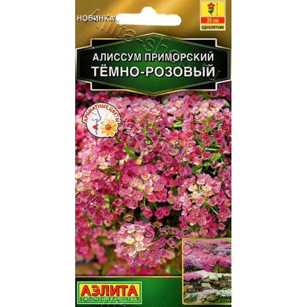 Алиссум приморский Тёмно-розовый Аэлита Цх10 