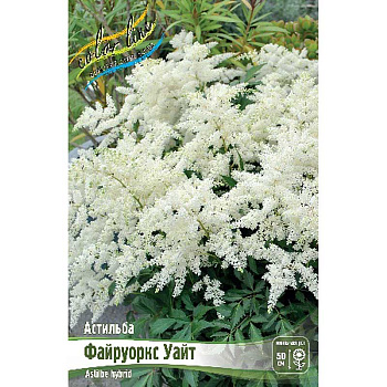 Астильба Файруоркс Уайт 2/3 n 1 шт