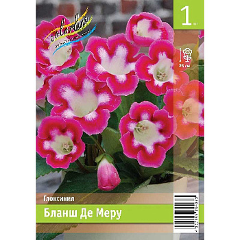 Глоксиния Бланш Де Меру 5/6 1 Эконом шт 