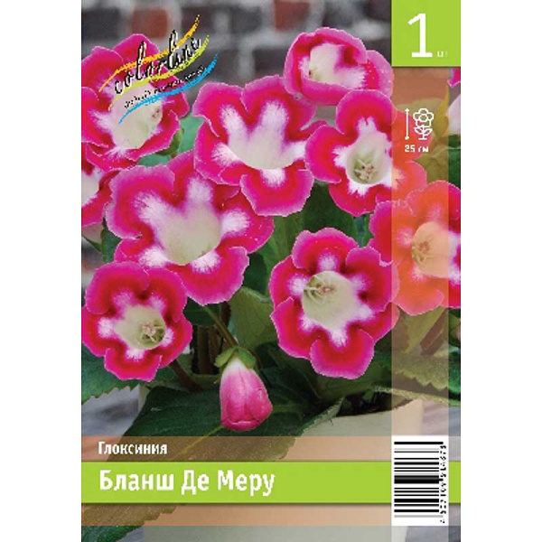 Глоксиния Бланш Де Меру 5/6 1 Эконом шт 