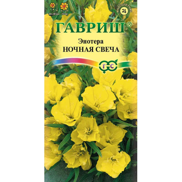Энотера Ночная свеча миссурийская Гавриш Ц 