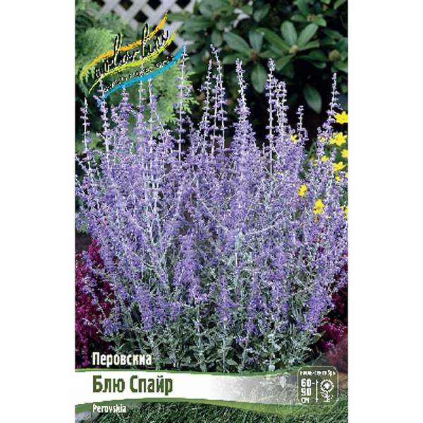 Перовскиа Блю Спайр I 25 шт Биг-Пак 932