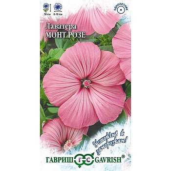 Лаватера Монт Розе Гавриш Ц 