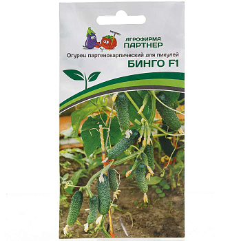 Огурец Бинго Партнер Ц