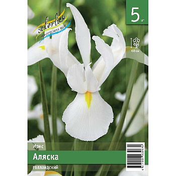 Ирис Голл. Аляска 8/9 5 Эконом шт 