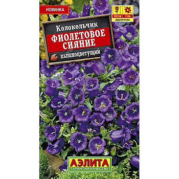 Колокольчик Фиолетовое сияние Аэлита Ц 