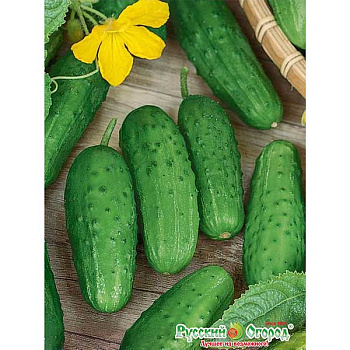Огурец Журавленок НК Ц