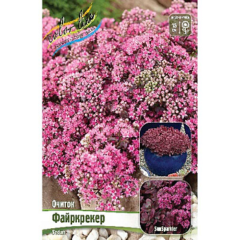 13486 Биг-Пак Очиток Файркрекер *Sunsparkler I 25 шт 