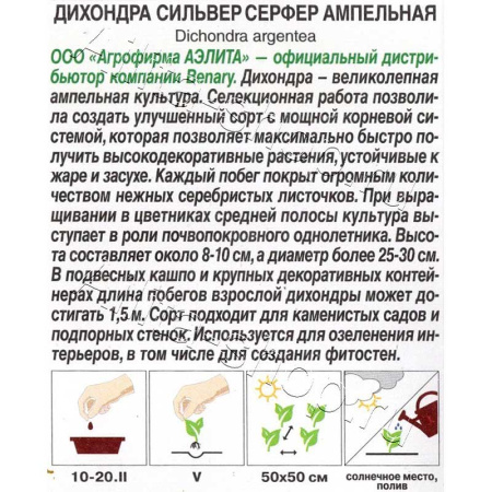 Дихондра Сильвер серфер ампельная Аэлита Цх10 