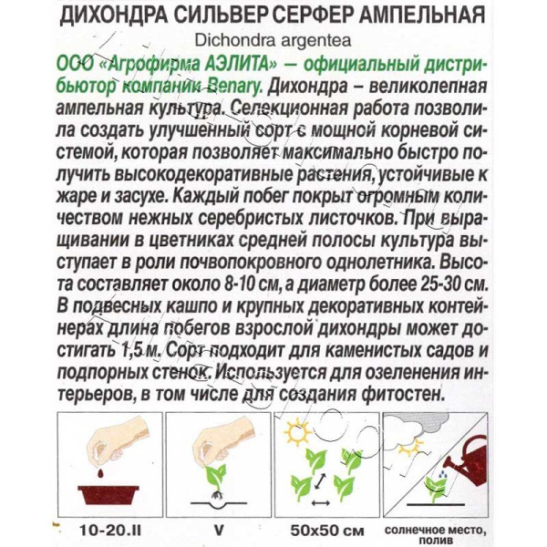 Дихондра Сильвер серфер ампельная Аэлита Цх10 