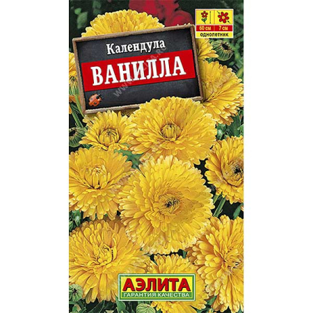 Календула Ванилла Аэлита Ц 