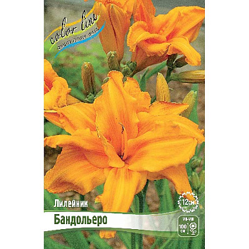 Лилейник Бандольеро I 25 шт Биг-пак 7940