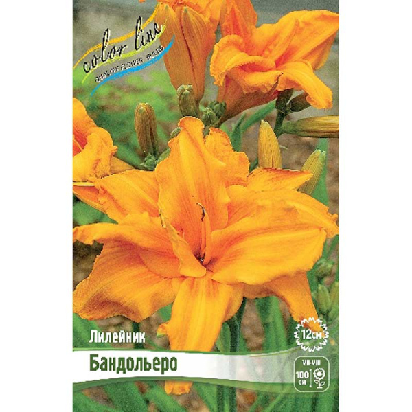 Лилейник Бандольеро I 25 шт Биг-пак 7940