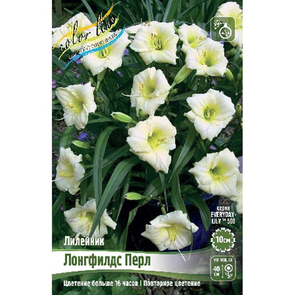 Лилейник Лонгфилдс Перл I 2 шт