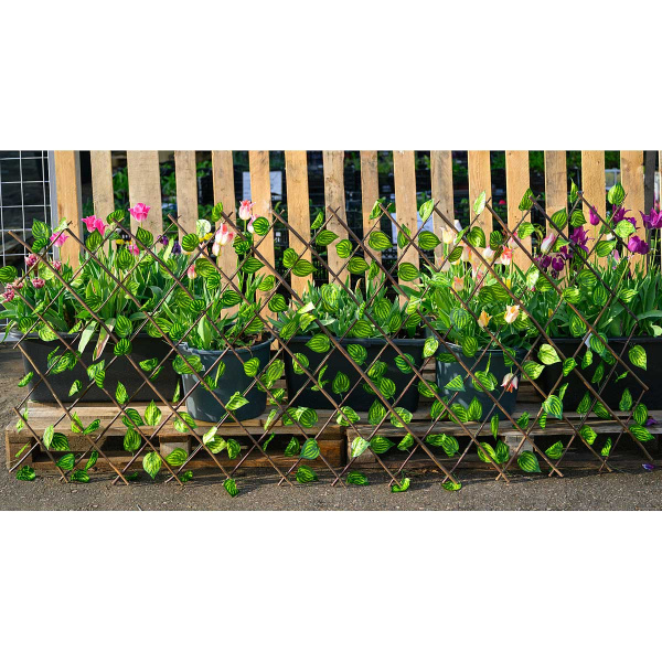 Раздвижная изгородь NA2654 большой лист 120*250 см (30)