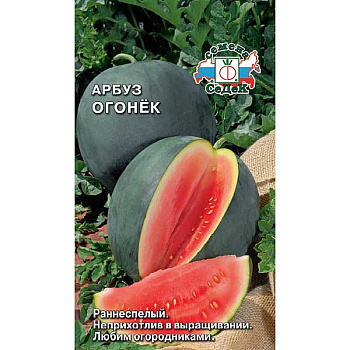 Арбуз Огонек Седек Ц