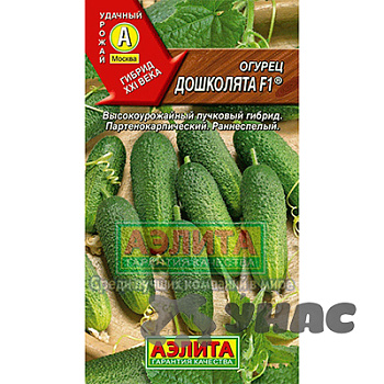 Огурец Дошколята  Аэлита Ц