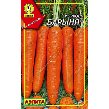 Морковь Барыня  Аэлита Ц
