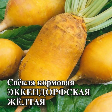 Свекла корм. Эккендорфская желтая 20гр Гавриш Ц