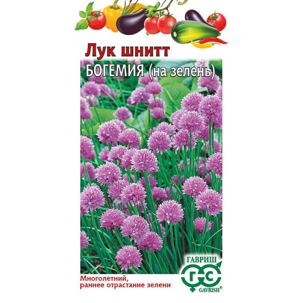 Лук шнитт Богемия Гавриш Ц