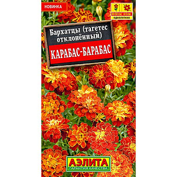 Бархатцы Карабас-Барабас Аэлита Ц 