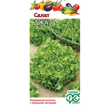Салат Джаз листовой Гавриш Ц